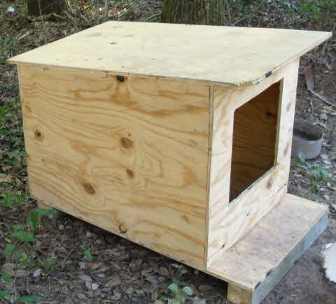 plywood dog house