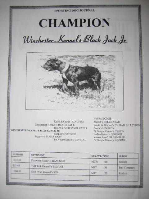 Blackjack jr apbt