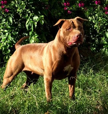 gmail login page. GMAIL.COM.BR LOGIN - Page 6