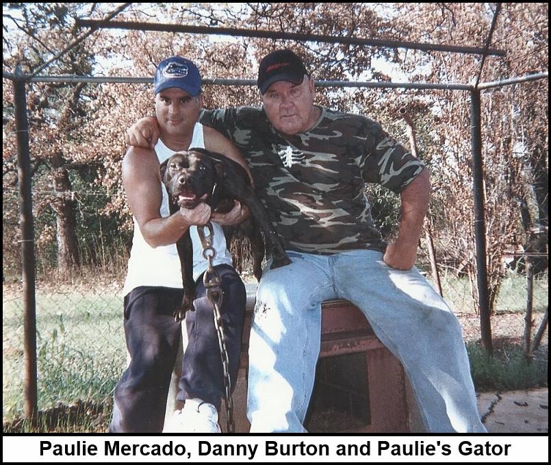 Pedigree Database PAULIE S GATOR