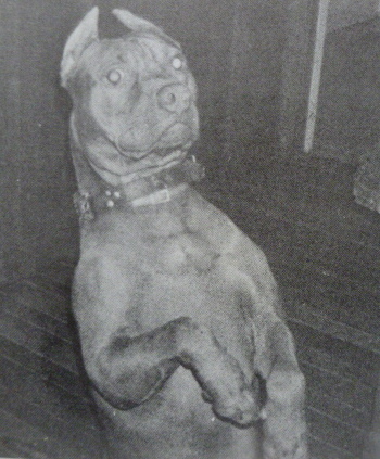 richard stratton apbt