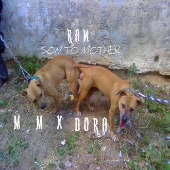 Online Pedigrees 59691 Raw S Mother Son Breeding Done