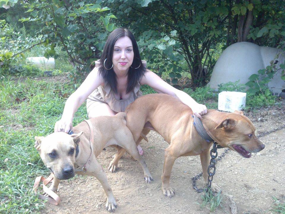 Apbt online pedigrees jeep 2025