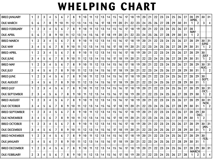 Dog Whelping Chart
